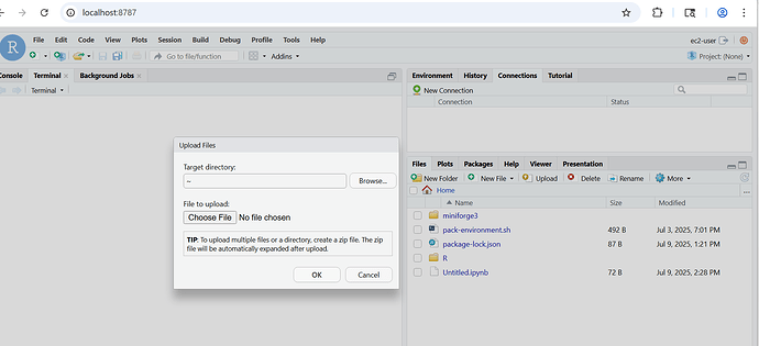 rstudio-disable-file-upload