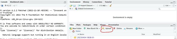 upload option not visible in posit workbench