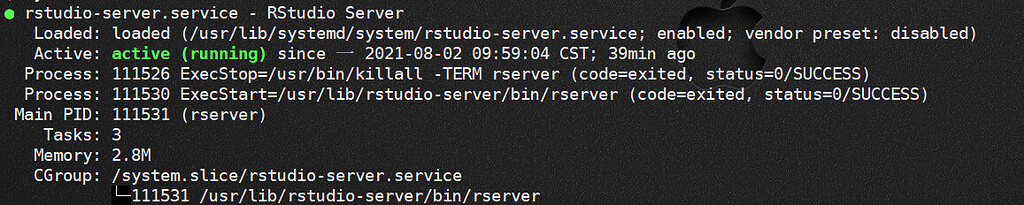could not connect to the R session on rstudio server - RStudio IDE ...