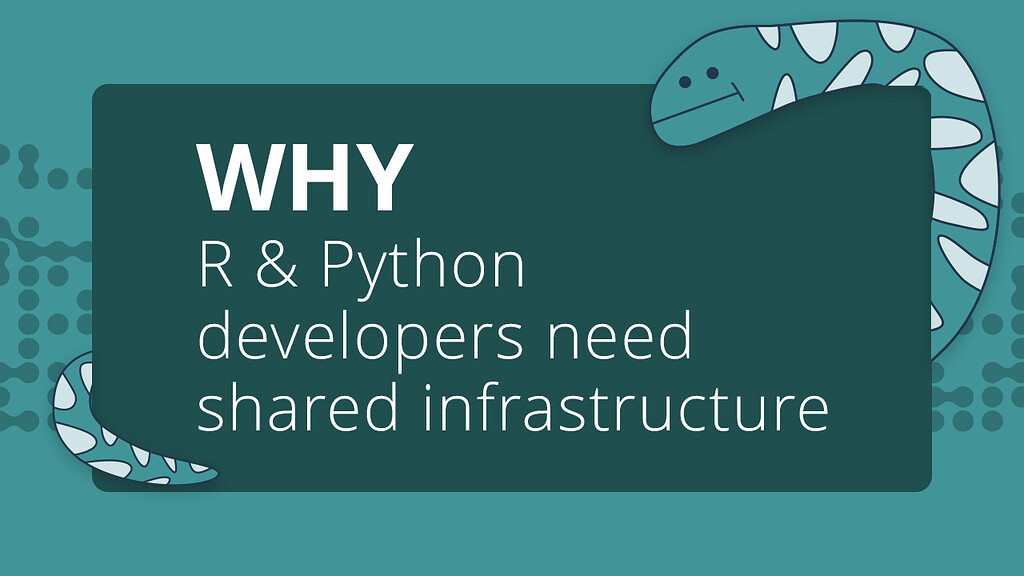 Why r and python developers need shared infrastructure posit news