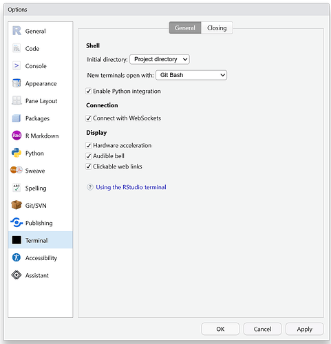 rstudio terminal options screenshot