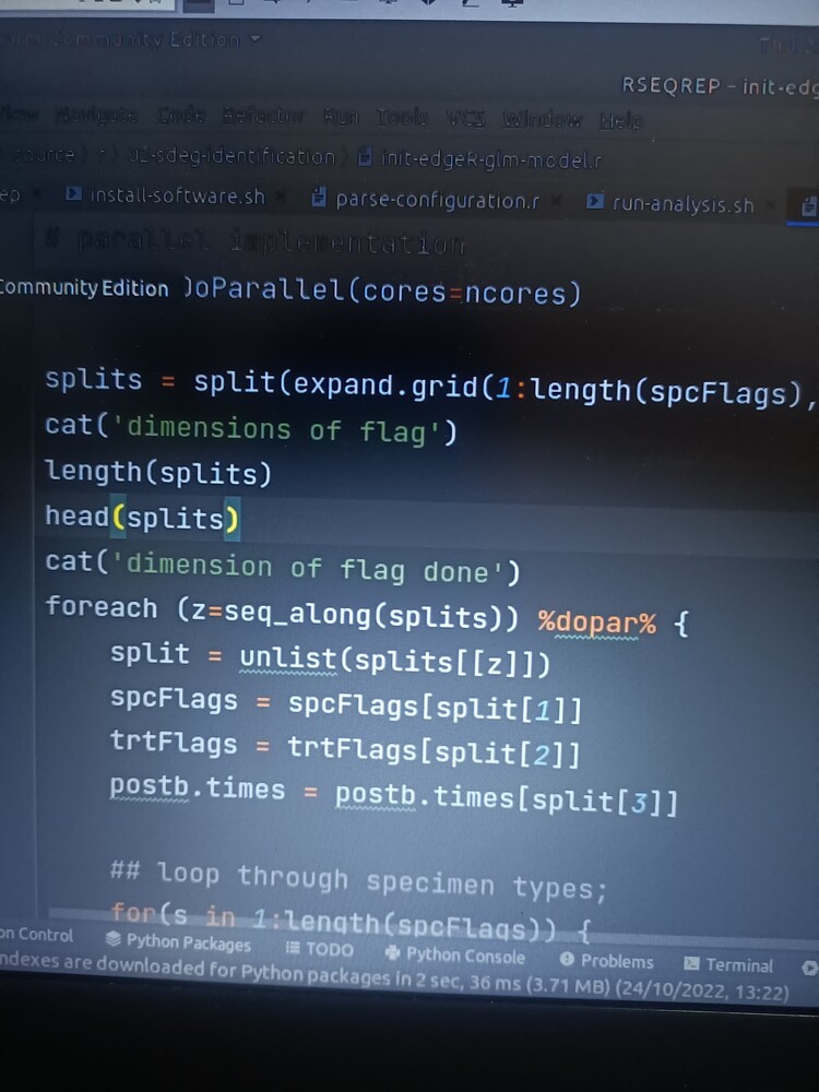 A foreach loop throws an error in running parallel tasks General