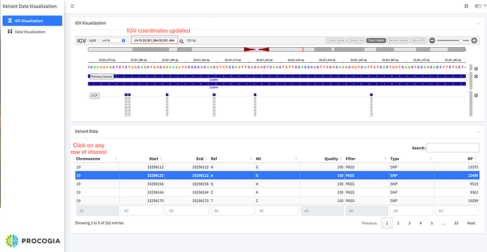 IGV Visualization