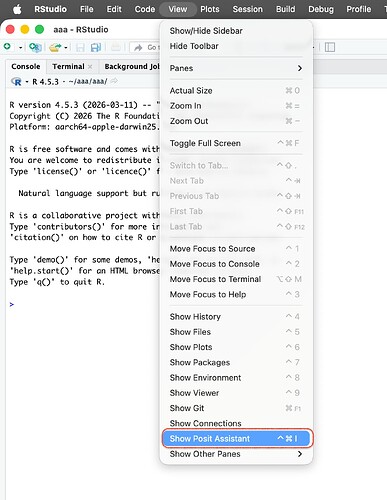 show-posit-assistant-command