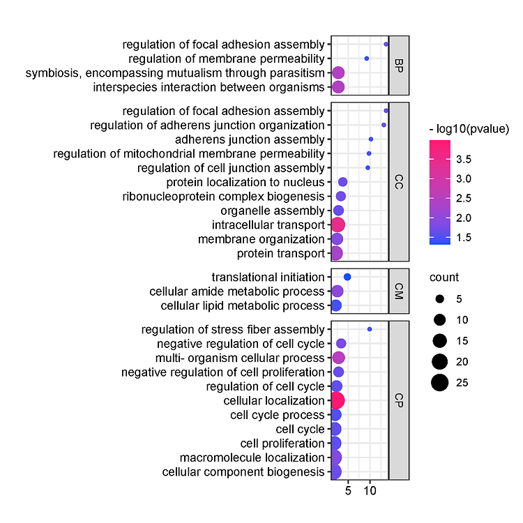 Trying to plot GO in ggplot - tidyverse - Posit Community