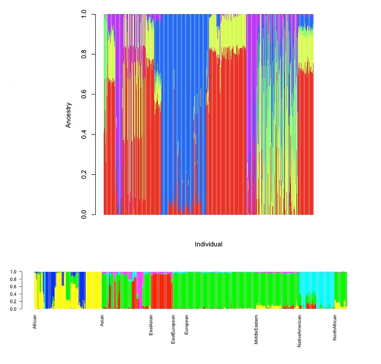 Structured Bar Plot structure bar plots - General - Posit Community