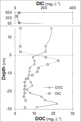 DOC%20plot