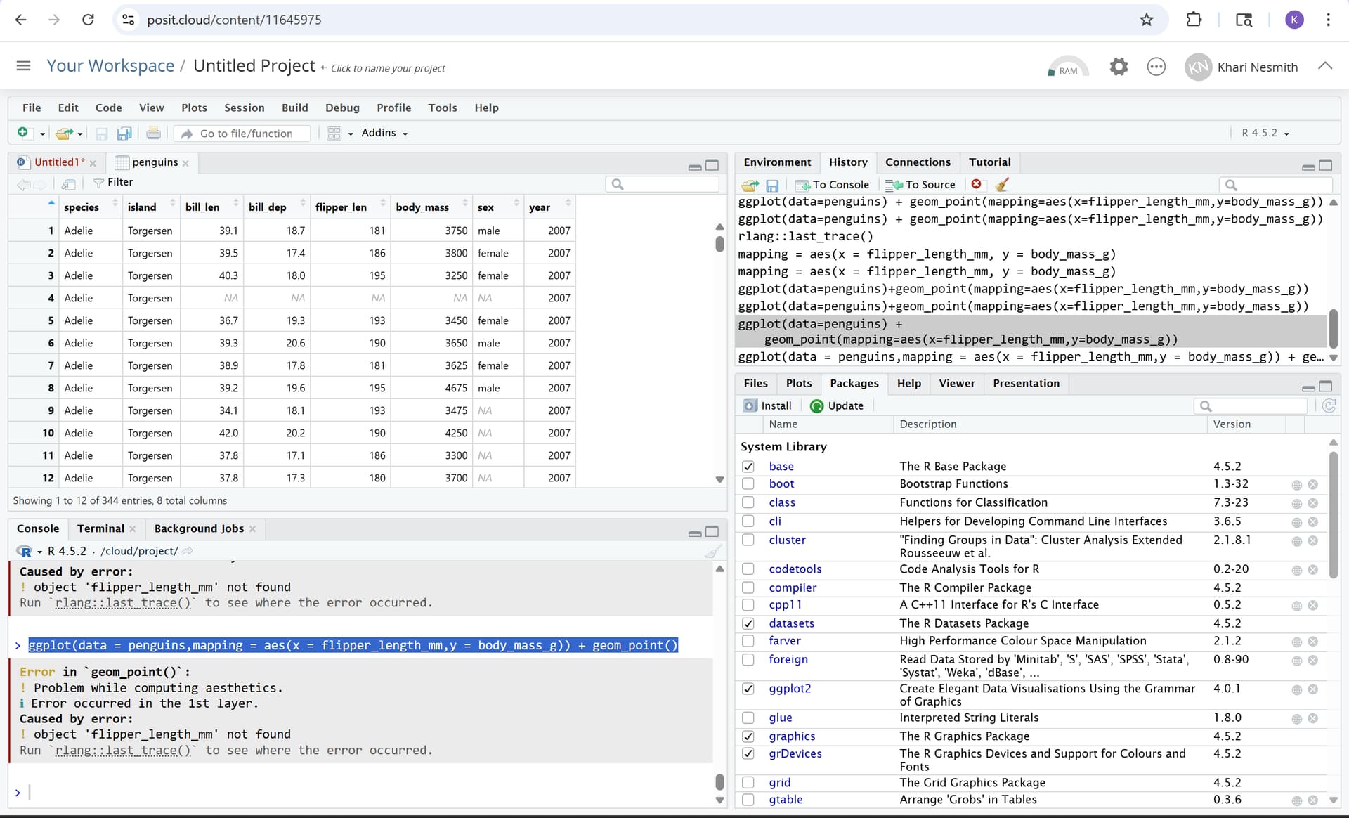 Error in a code while running the RConsole. - RStudio IDE - Posit Community