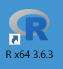 R_icon